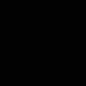 Meet your Posher, Corina